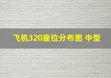 飞机320座位分布图 中型